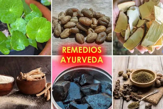 Clínica D'Silvia Spa Revisión Y Opiniones 15 Ayurveda Salud Y Belleza