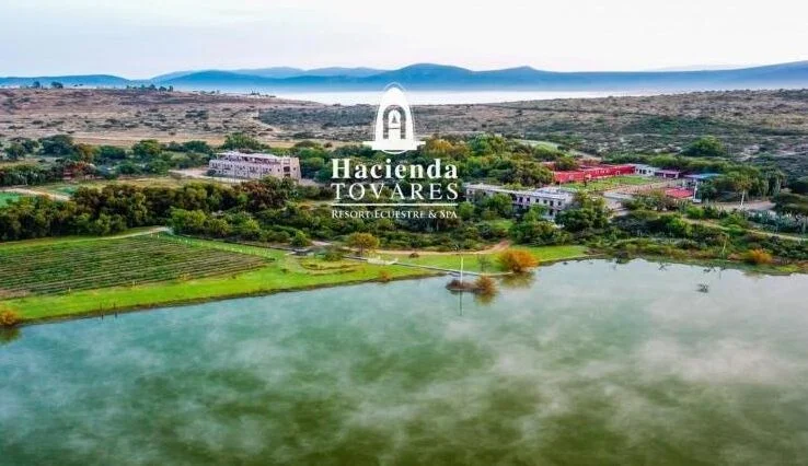 Mejores Masajes En Huimilpan Cerca De Mi 12 Masajes En Cadereyta De Montes