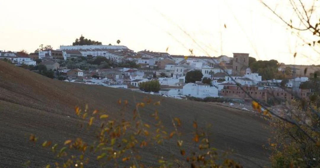 Mejores Masajes En Ciudad Del Maíz Cerca De Mi 36 Masajes En Guadalcázar