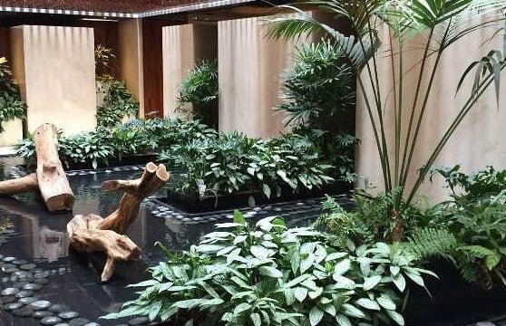 Mejores Masajes En Tlalpan Cerca De Mi 6 Masajes En Miguel Hidalgo