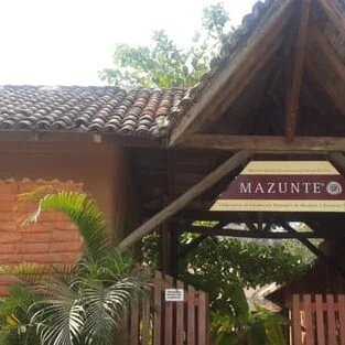 Mejores Masajes En Santa María Xadani Cerca De Mi 170 Masajes En San Pedro Pochutla