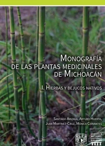 Mejores Masajes En Epitacio Huerta Cerca De Mi 42 Masajes En Taretan