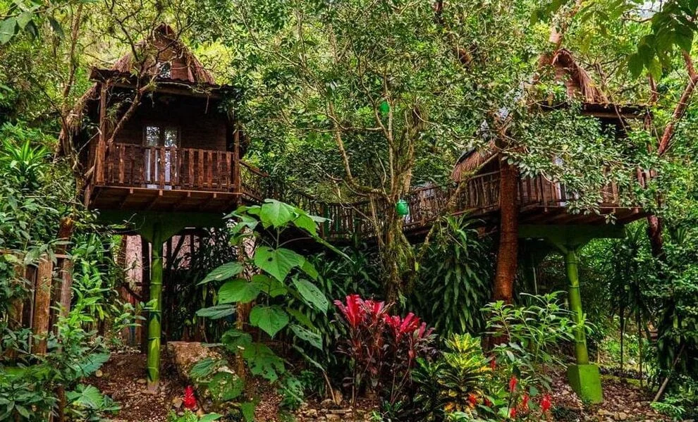 Mejores Masajes En Ciudad Del Maíz Cerca De Mi 49 Masajes En Xilitla